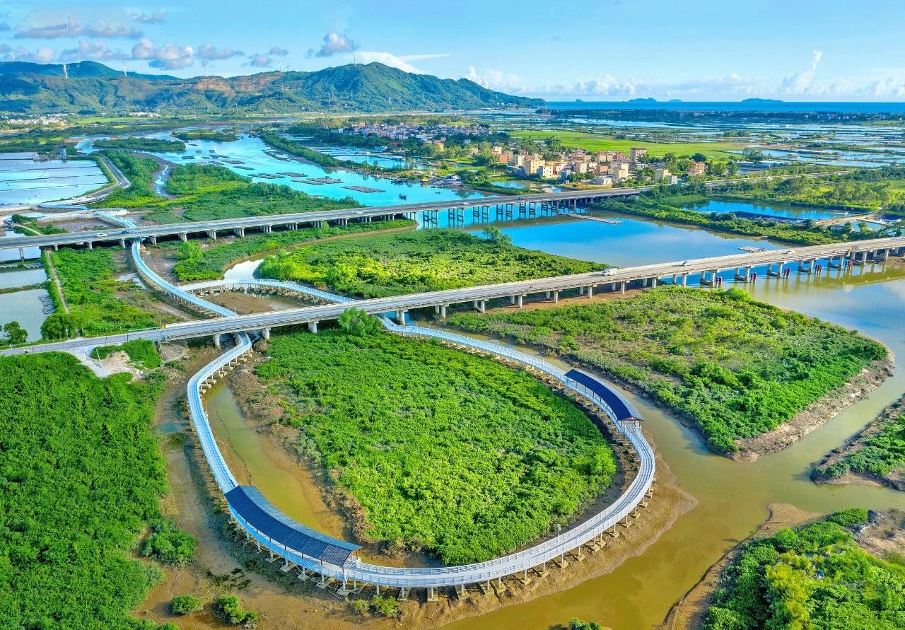 早安阳江 阳江市两地入选广东省级重要湿地名录！(图1)