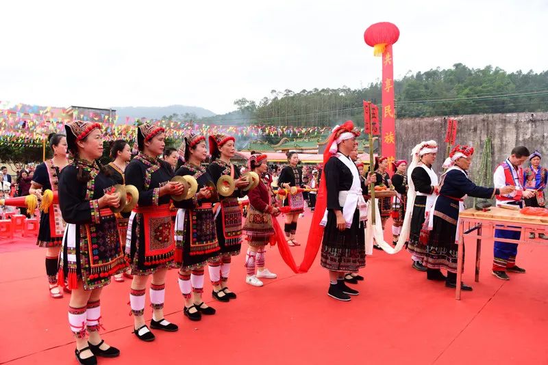 早安阳江 阳江市两地入选广东省级重要湿地名录！(图4)