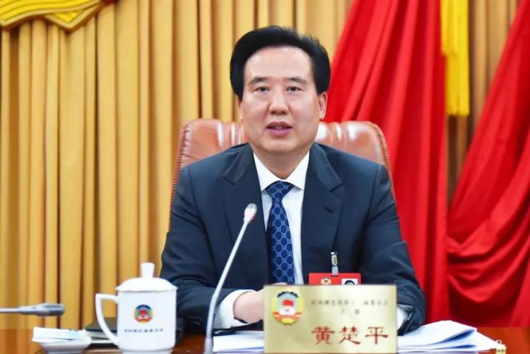 厉害了！武科大校友(图1)