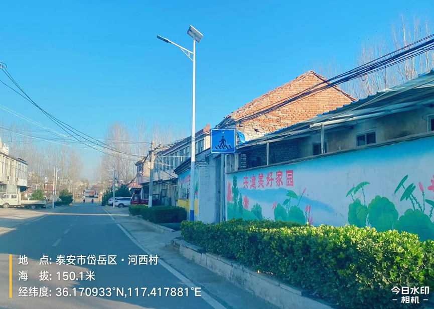 岱岳一项目疑似未开标部分项目已完工 招标流程或后补(图3)